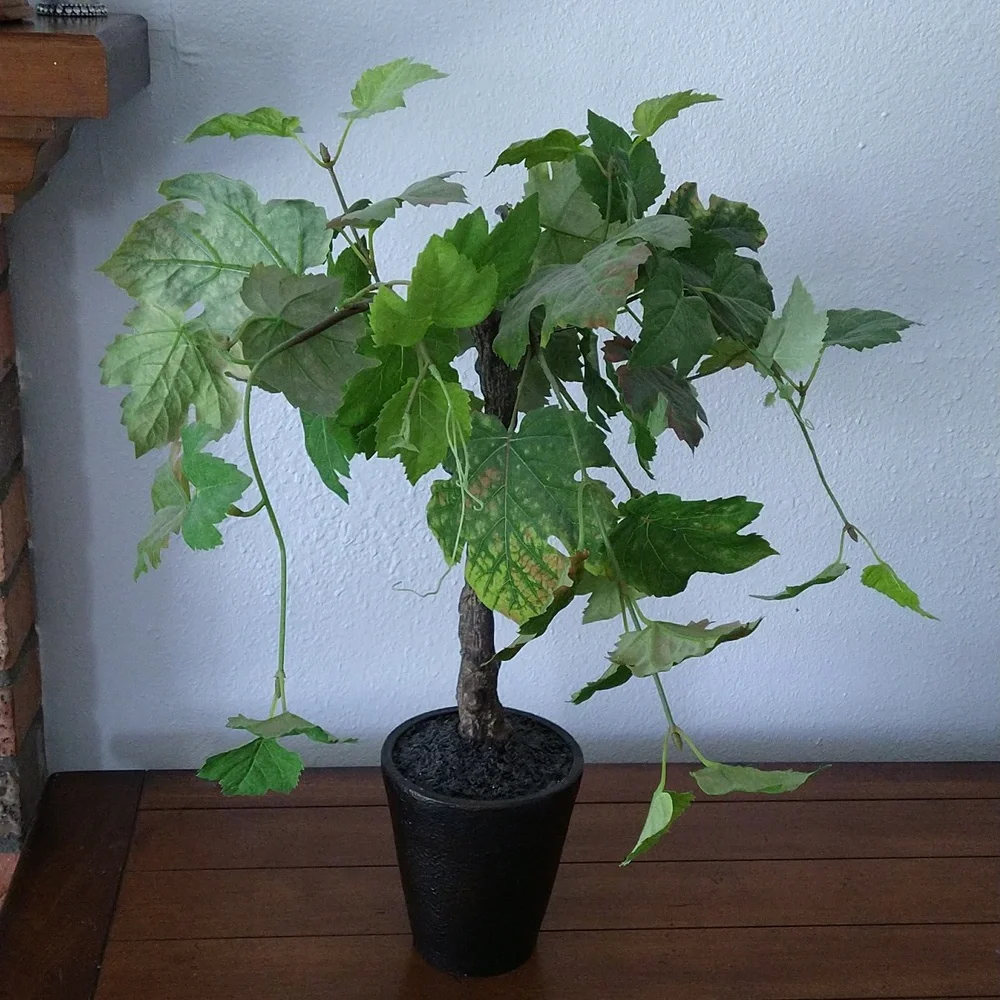 NWOT Faux Plant 22